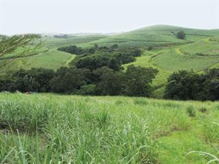 South African Sugar Association on scientific proof