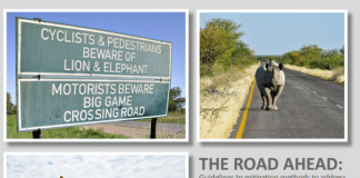 Guidelines to reduce wildlife mortalities on roads