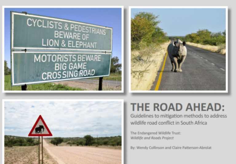 Guidelines to reduce wildlife mortalities on roads Guidelines to reduce wildlife mortalities on roads