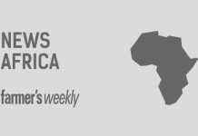 news-africa