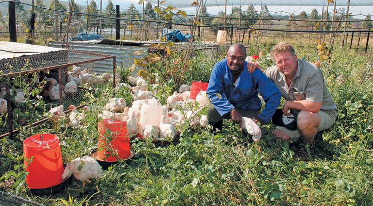 Organic farming: a commercial farmer converts Organic farming: a commercial farmer converts