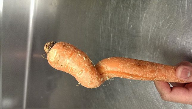 Is ‘ugly produce’ a new trend?