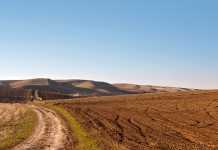 boosting-growth-in-the-agricultural-sector