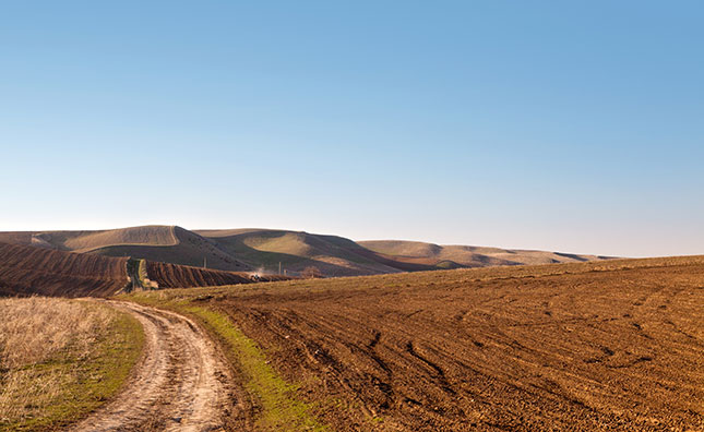 Investment in agriculture could boost growth in Central Asia