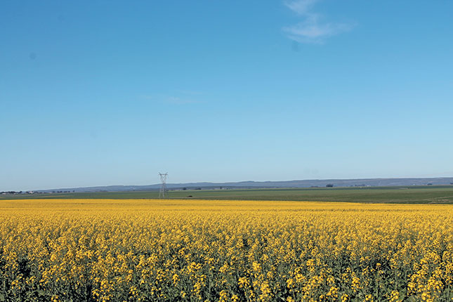 farm land farm land