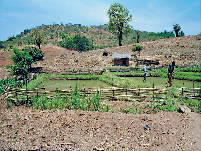 Small community fish farms – then and now