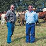 dohne-nguni-cattle-stud-christo-nowers-and-johan-welgemoed