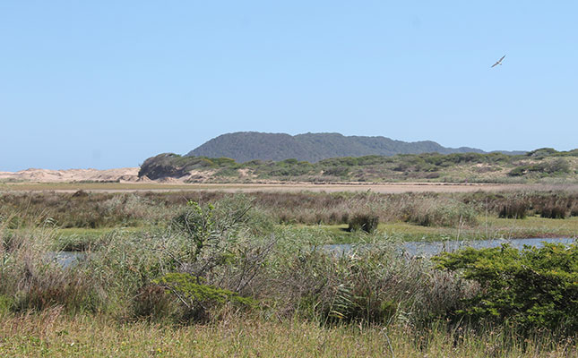 iSimangaliso Wetland Park defends estuary management plan