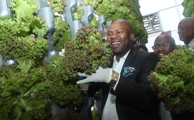 Gauteng launches new agri-park Gauteng launches new agri-park