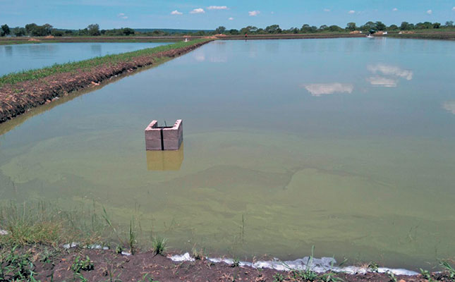 How far have we come with aquaculture in SA? How far have we come with aquaculture in SA?