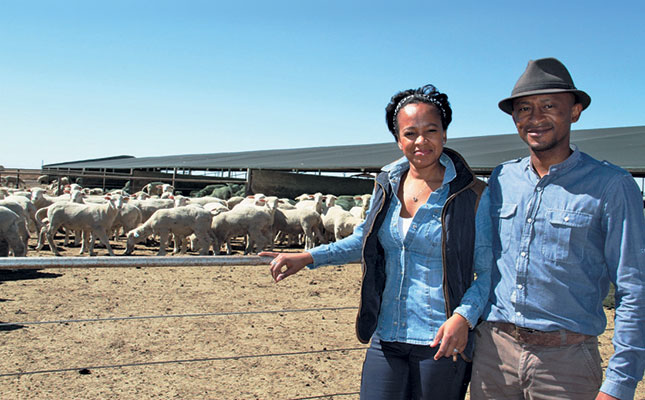 How a business investment became a farming passion