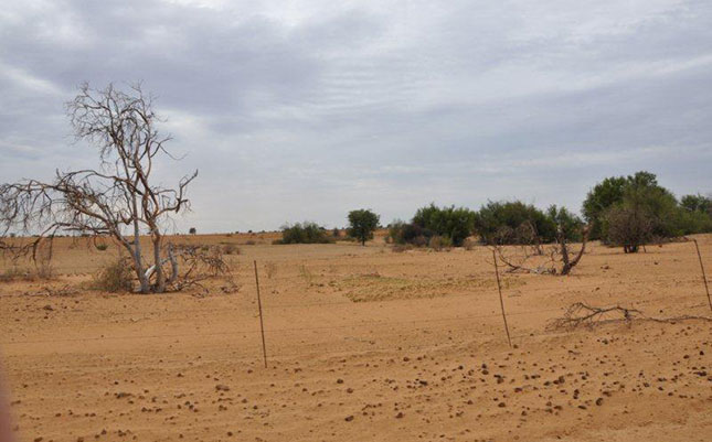 Cautious optimism despite drought, political uncertainty Cautious optimism despite drought, political uncertainty
