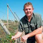 granadilla-crop-farmer-kosie-eloff