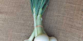 green-onions