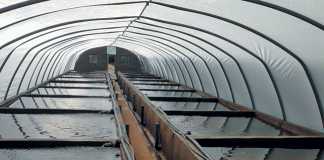 greenhouse-tunnels-aquaculture