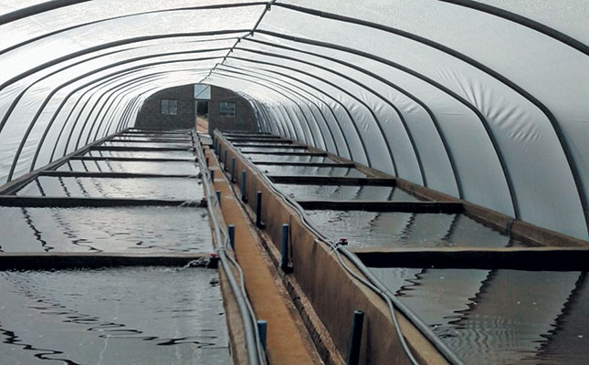 Aquaculture 101: the advantages of greenhouse tunnels Aquaculture 101: the advantages of greenhouse tunnels