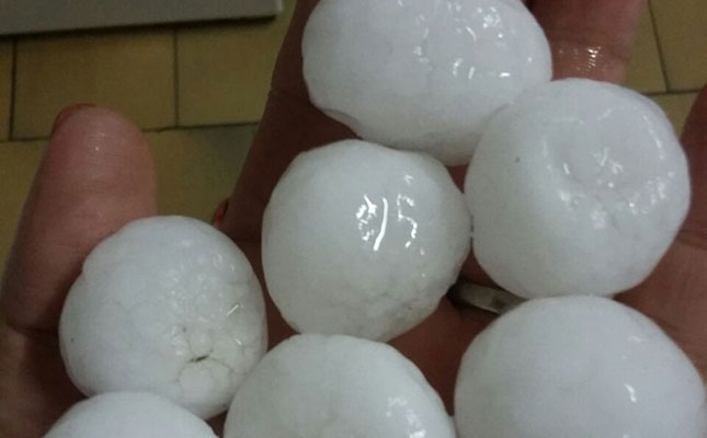 Rain and hail causes damage to crops in the Free State