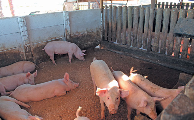 Basic infrastructure for small-scale pig farming