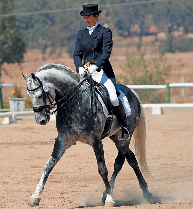 The right music for dressage