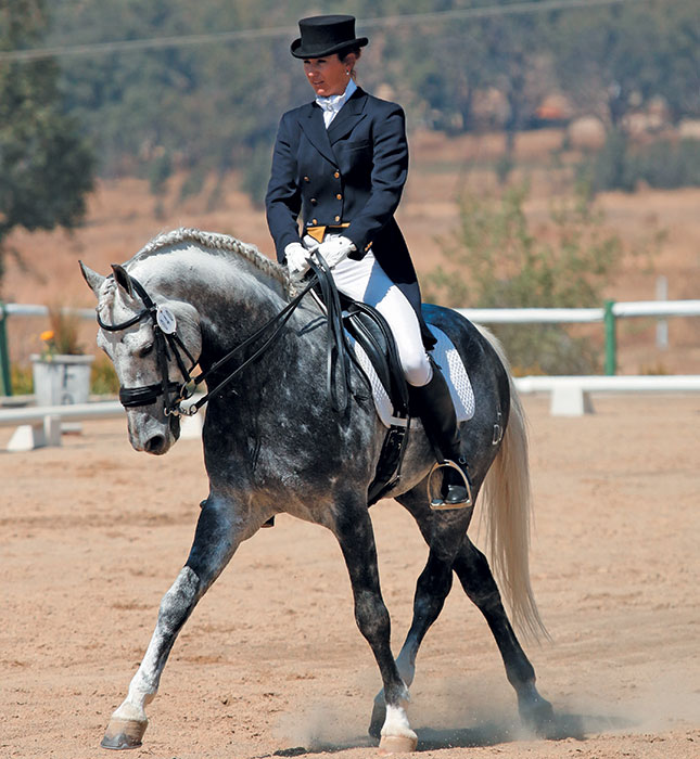 The right music for dressage The right music for dressage