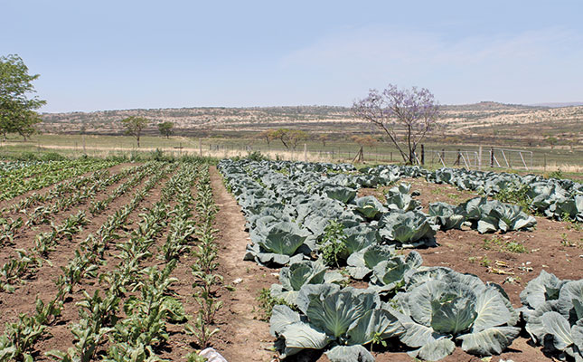 DAFF encourages use of Marketing Information Systems DAFF encourages use of Marketing Information Systems