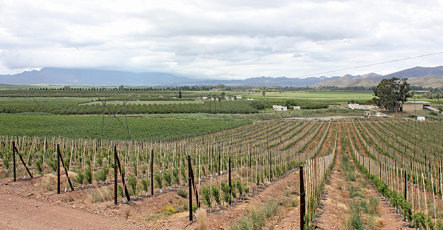 Robertson Winery reaches wage settlement with workers Robertson Winery reaches wage settlement with workers