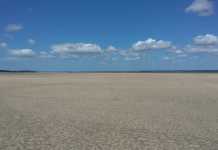 Drought conditions
