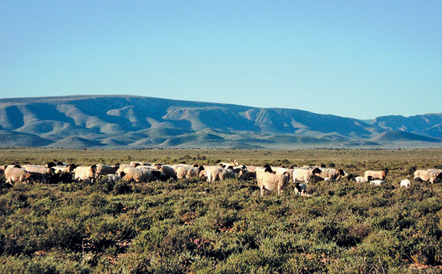 How to be a good stockman How to be a good stockman