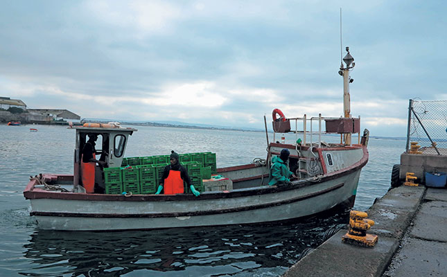 Mussel farming on the West Coast