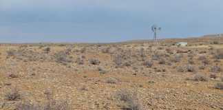 Karoo-drought-desert