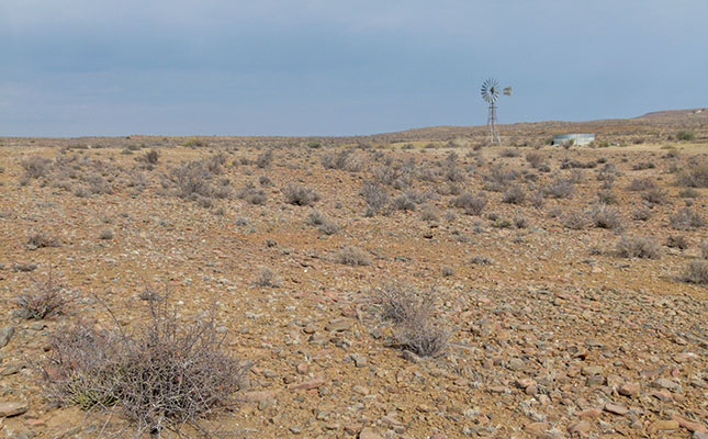 Drought-stricken Karoo farmers in dire need of fodder