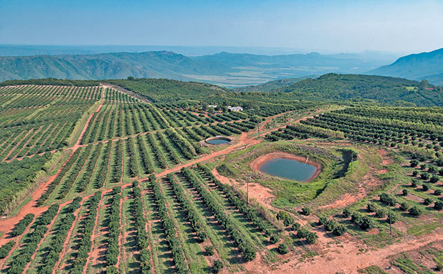 ZZ2’s, 10 000t of avocados using nature-friendly methods