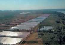 aerial-view-ponds