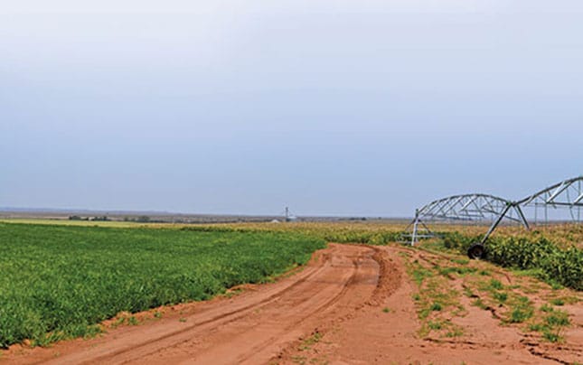 Volatile rand to continue putting pressure on agri prices Volatile rand to continue putting pressure on agri prices