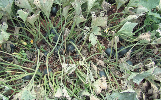 Better crop spraying techniques– Part 1 Better crop spraying techniques– Part 1