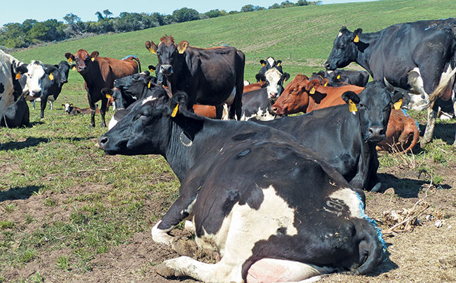 Top young farmer transforms failed land reform project