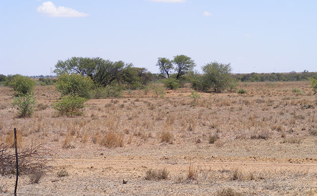 Urgent call to support drought relief fund Urgent call to support drought relief fund