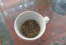 make-a-tea-of-the-herbs-and-feed-for-horse-allergies