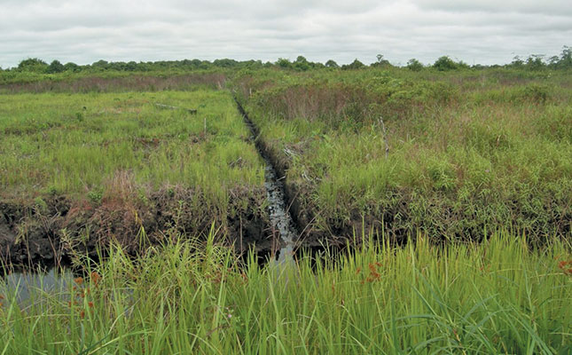 Moratorium on peatland drainage