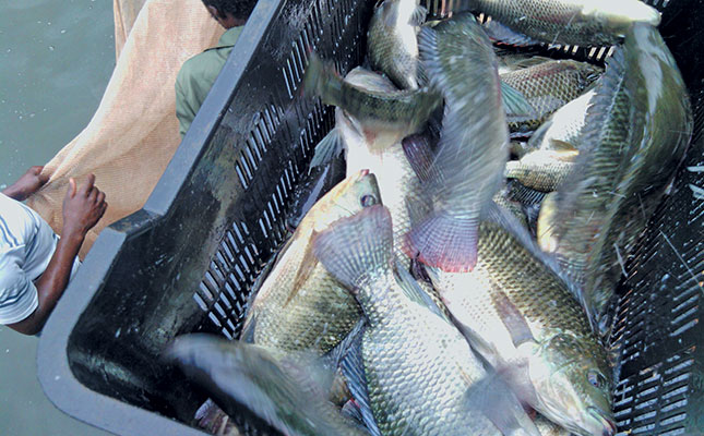 Selling your fish: which customers are best for you? Selling your fish: which customers are best for you?