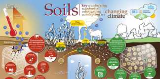 world-soil-day-2016