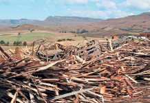 How-biorefineries-can-add-value-to-forestry-waste