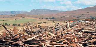How-biorefineries-can-add-value-to-forestry-waste