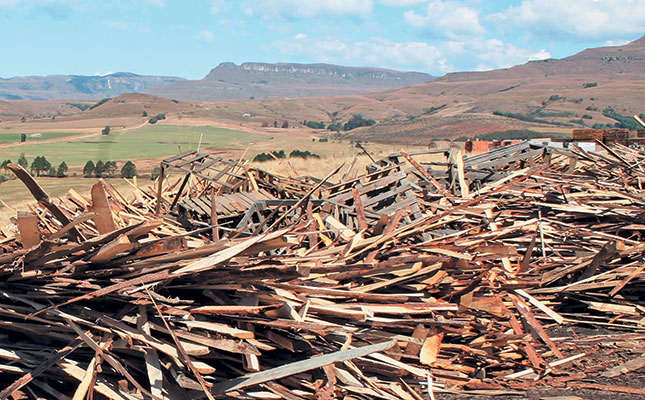How biorefineries can add value to forestry waste How biorefineries can add value to forestry waste