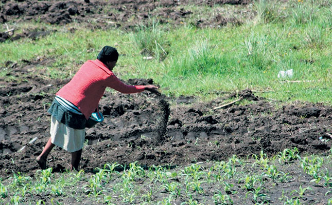 How to cure your soil after years of nutrient depletion