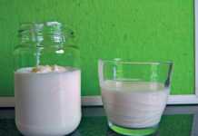 Remedy for gastric ulcers