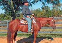 Training-western-pleasure-horses