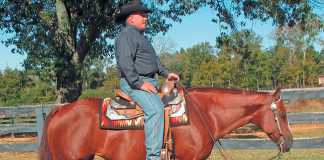 Training-western-pleasure-horses