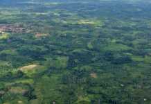 aerial-view-of-agri-land-in-liberia