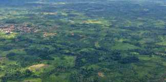 aerial-view-of-agri-land-in-liberia